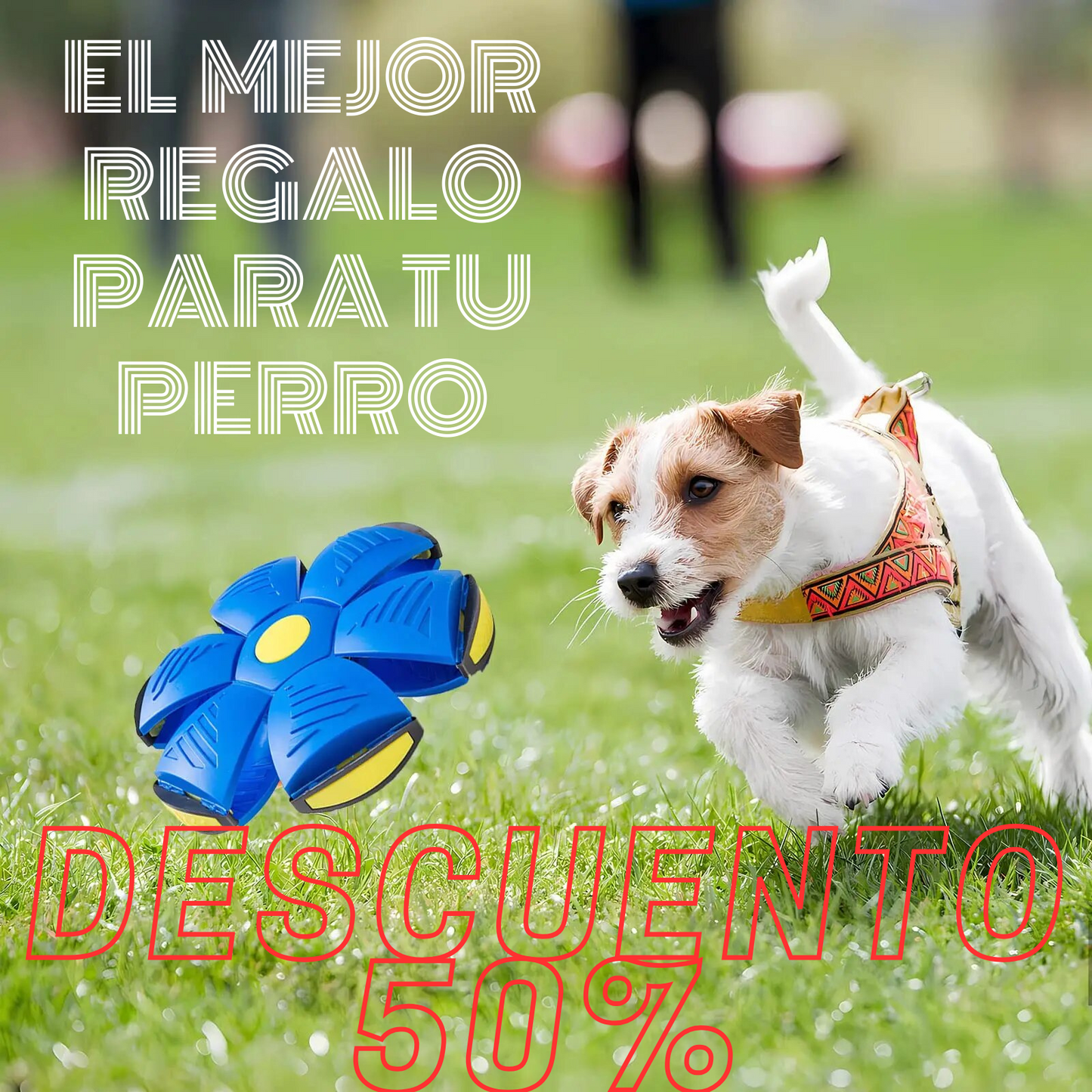 Pelota y Disco para Perros y Mascotas TRANSBALL® ENTRETENIMIENTO ILIMITADO